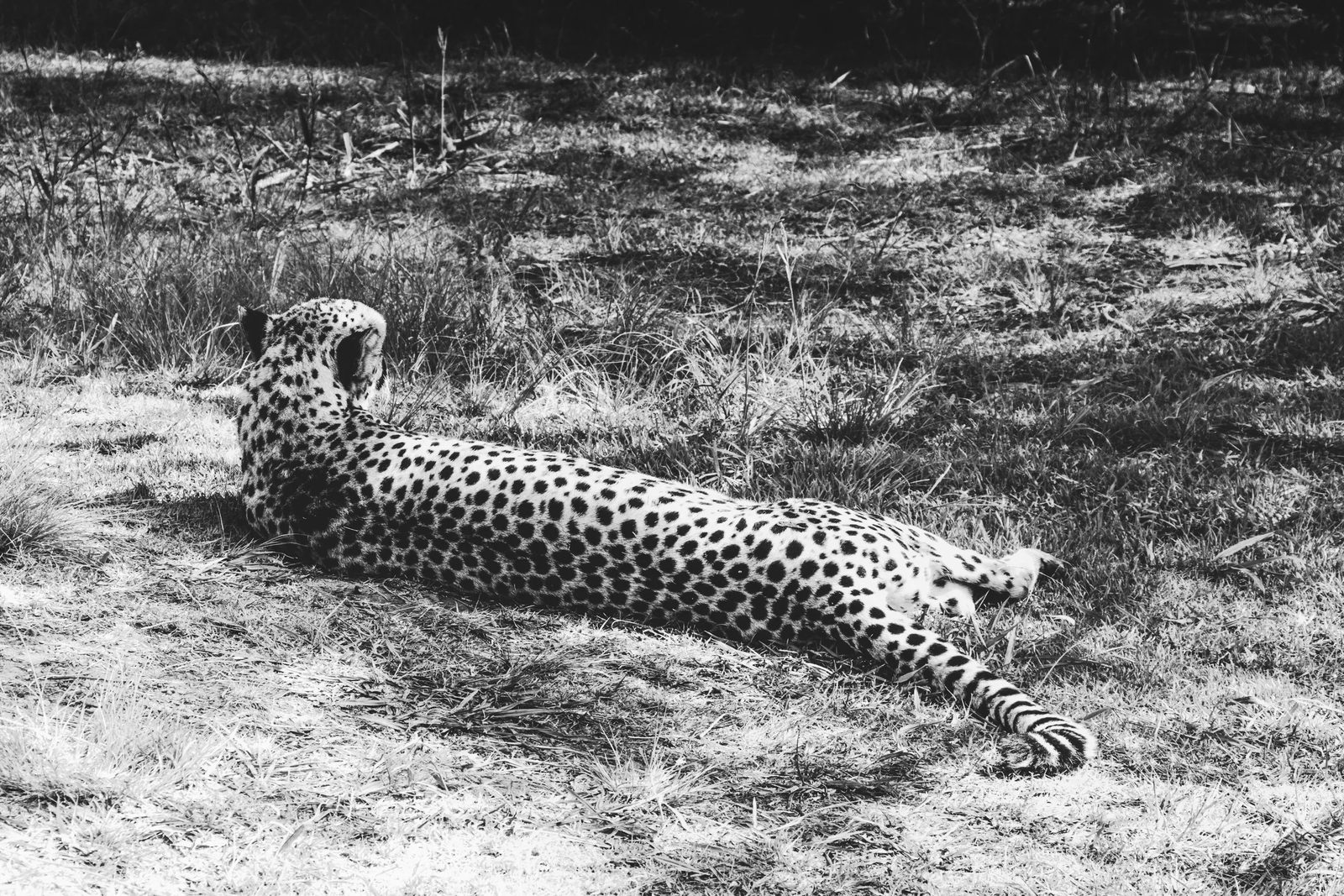 South Africa, photo 13