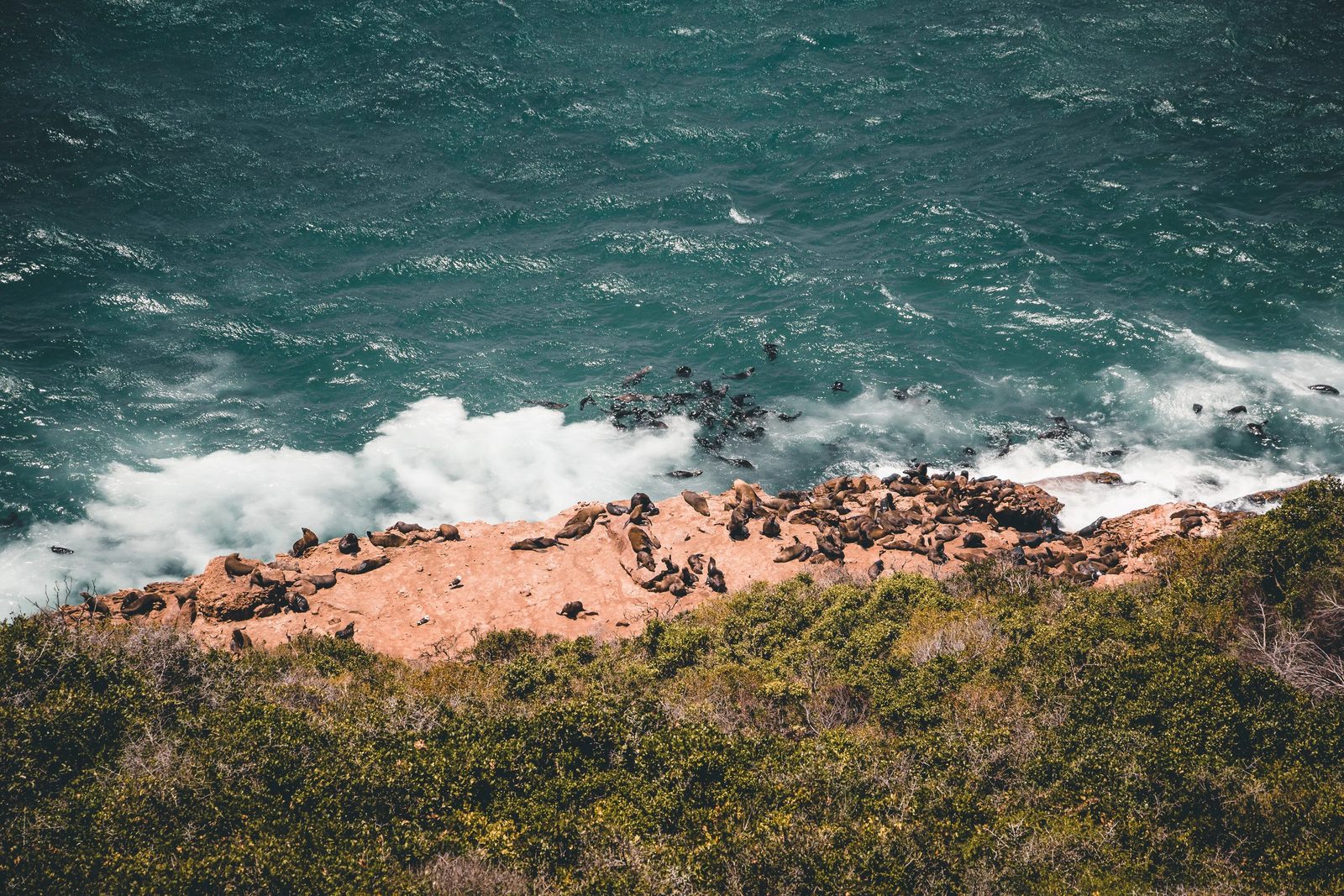 South Africa, photo 12