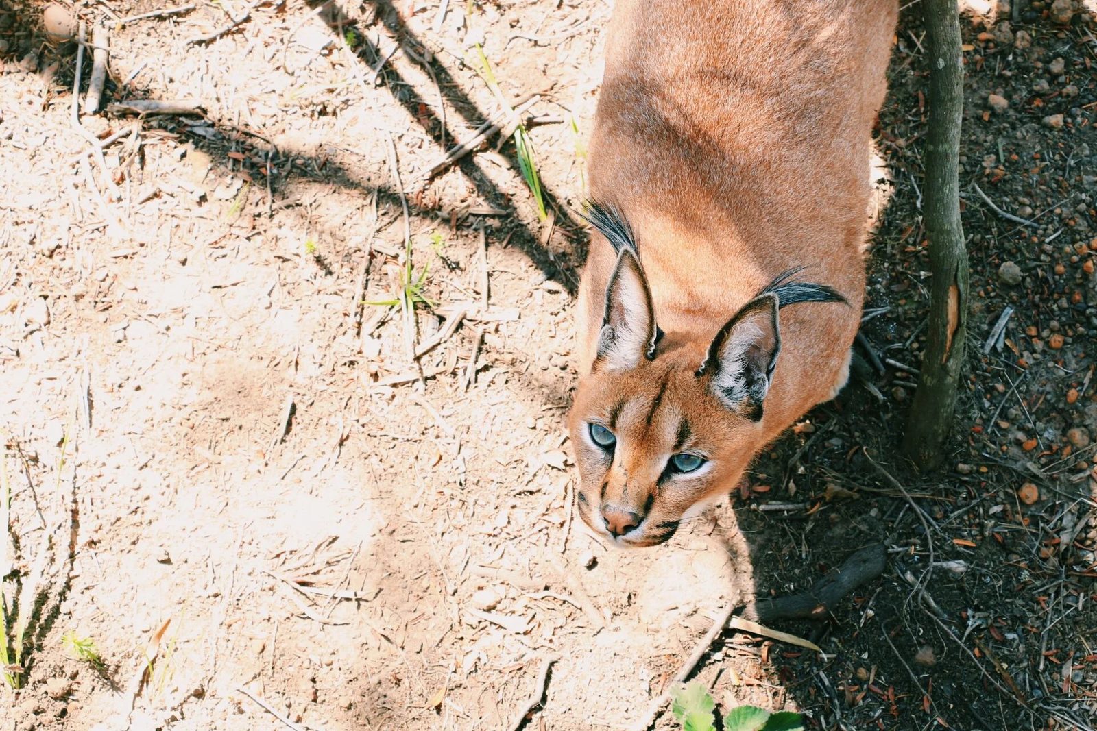 South Africa, photo 10