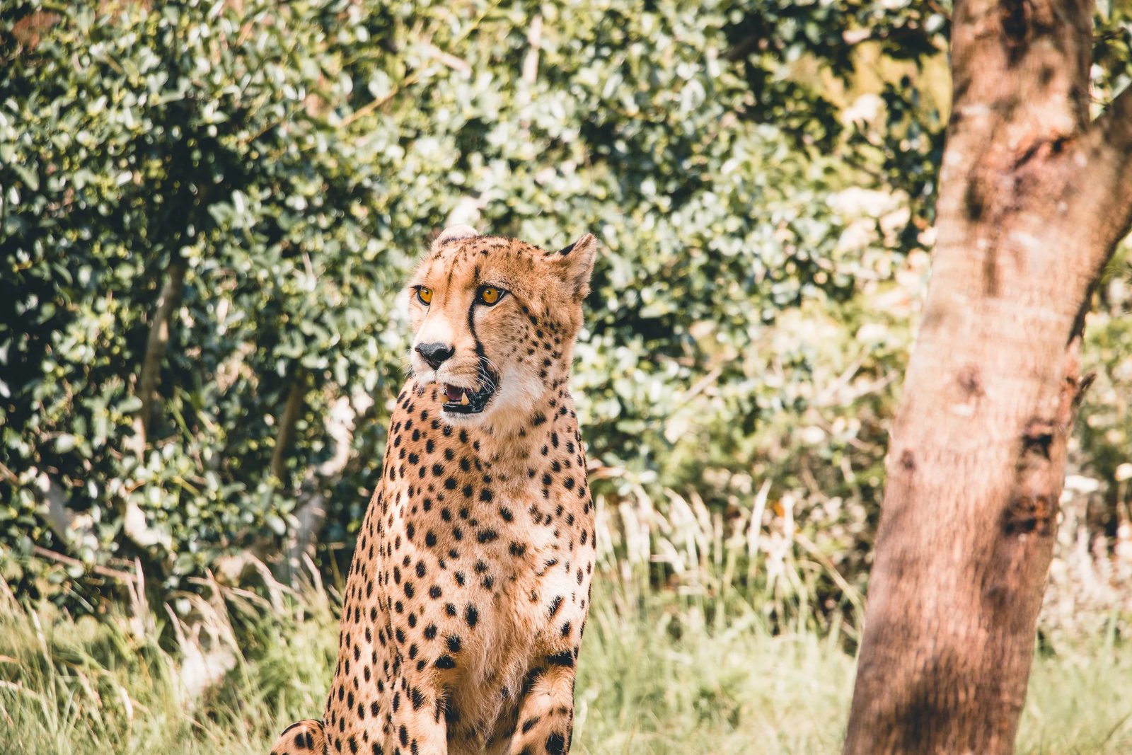 South Africa, photo 3